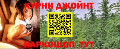 МДПВ Заводоуковск