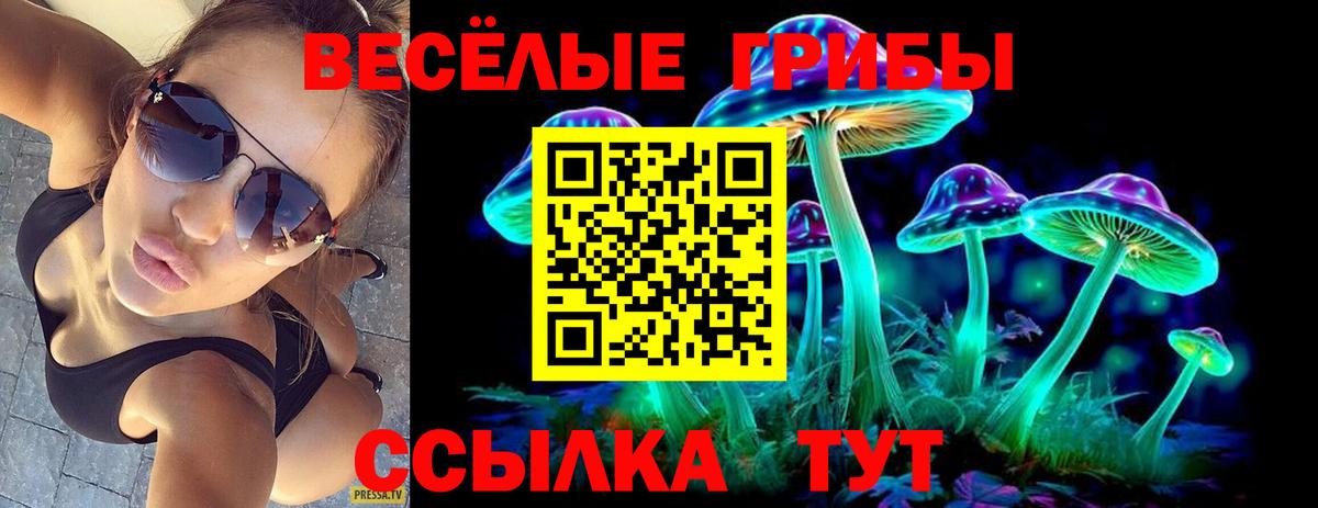 Люберцы  Псилоцибиновые грибы MAGIC MUSHROOMS  Вход с VPN 